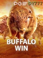 Buffalo Win